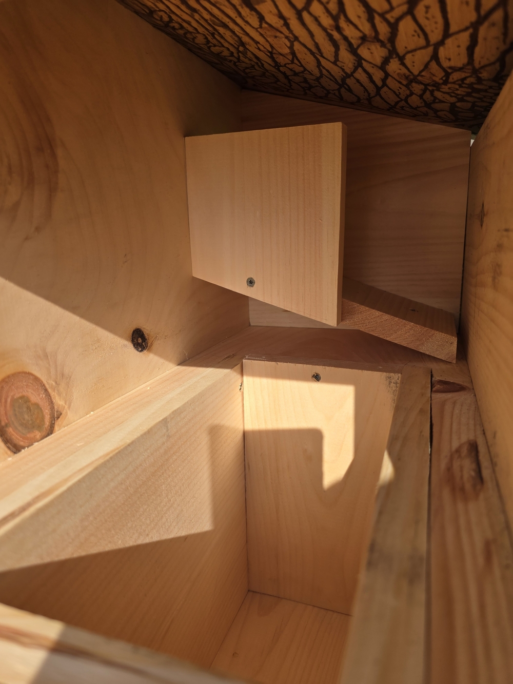 Large Squirrel House Box - Picture 6 of 10